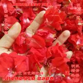 包邮 花粉纯植物染发遮白发凤仙透骨草 红色指甲草花瓣 新鲜凤仙花