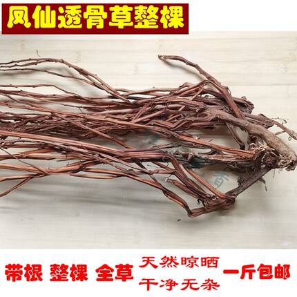 凤仙透骨草 中药材指甲草棵 天然晾晒整棵指甲花打粉凤仙透骨草段