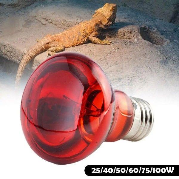 Pet Red Heating Lamp E27 Day Night For Amphibian Snake Lamp