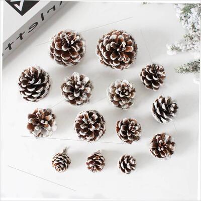 Christmas tree pine cones and dried flowers DIY material kit