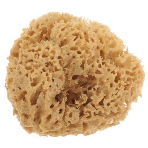 Natural Sponge Bath Ball Honeycomb Body Scrubber