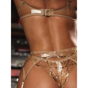 Embroidered Lace Mesh Sexy нижнее Three Lingerie piece