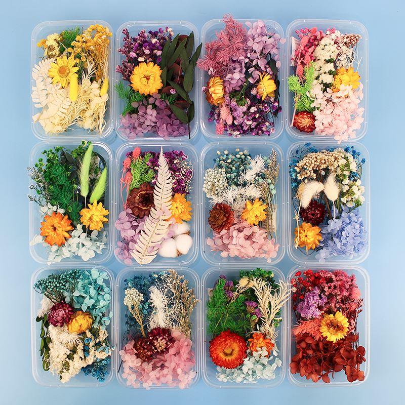 200pc Real Dried Flowers For DIY Art Craft Epoxy Resin Candl