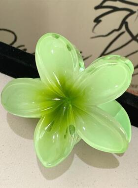 Hair Flower Clip Clips Hawaiian Plumeria Beach Flowers Claw