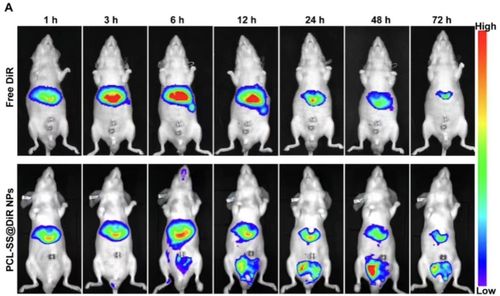 Living Image软件远程安装 4.3/4.4小动物活体成像数据分析研究