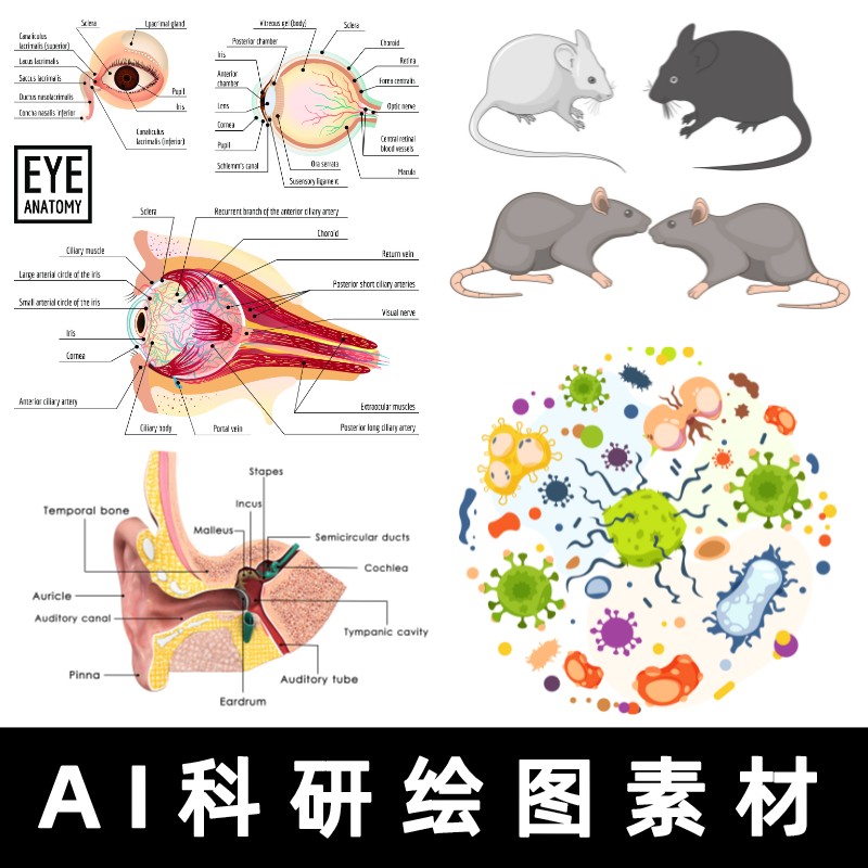 科研绘图素材医学插图素材细胞通路流程图科研作图AI素材PPT可用