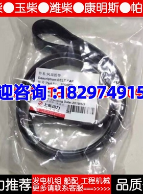 SC4H95D2 SC4H115D2 SC4H160D2 SC4H180D2上柴柴油发电机组 皮带