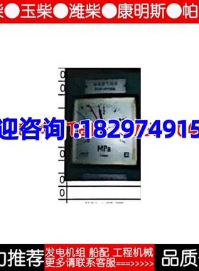 上海怡泰仪表压力表F72-DCB   10V