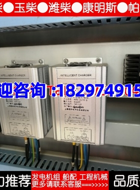 蓄电池充电器PDPS-24/12-D上海逻然发电机电瓶电源充电装置新款