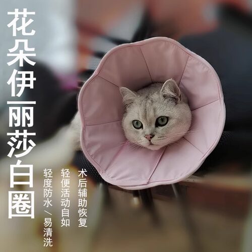 宠物绝育伊丽莎白圈猫咪防舔项圈术后伤口防抓咬轻便头套狗狗脖圈