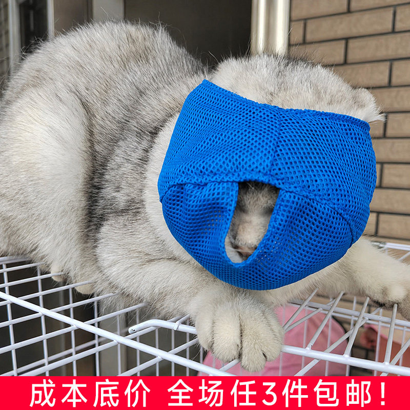 透气猫口罩多功能防咬伤防叫护理宠物猫咪嘴套猫面罩头套