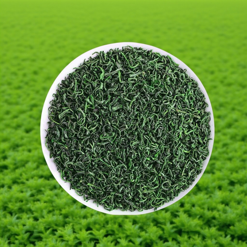 2025年新茶广东河源特级高山自产绿茶500g250g散装正品