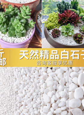 鹅卵石天然雨花石小白石子多肉铺面盆栽花盆庭院造景装饰白色石头