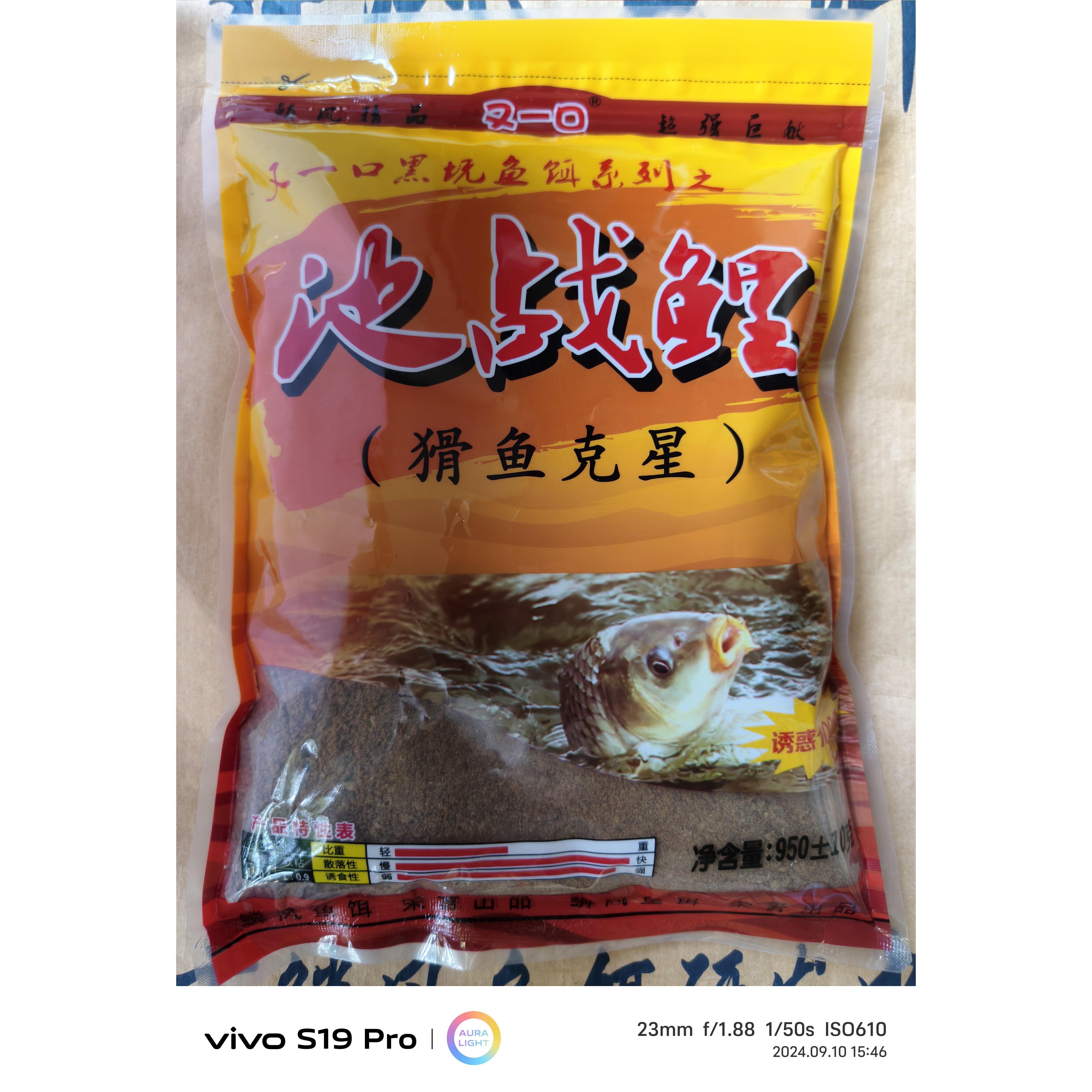 池战鲤鳞风池战鲤黑坑鲤鱼静养鱼回锅鱼伤鱼病鱼老鱼猾鱼