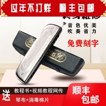 A preliminary study of the professional performance level of harmonica in Germany and Germany