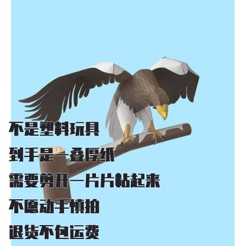 纸模型 DIY白肩雕仿真手工拼装3D立体动物纸艺