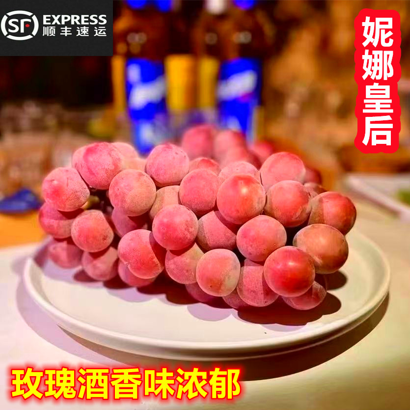 新鲜妮娜皇后葡萄有籽正宗罗马红宝石红提提子女皇尼娜大连鲜果
