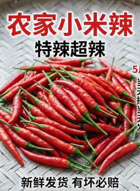 四川新鲜小米椒超辣农家种植现摘