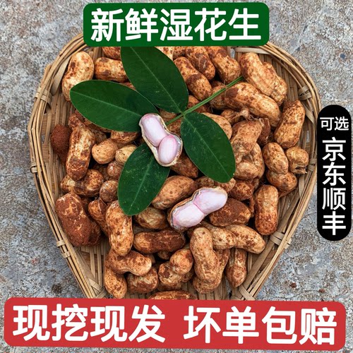 四川应季新鲜花生农家自种带壳