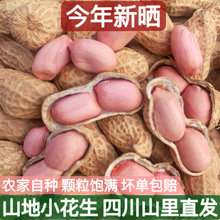 25年新鲜晒干生花生山地农家自种带壳粉白皮四川重庆特产小粒花生