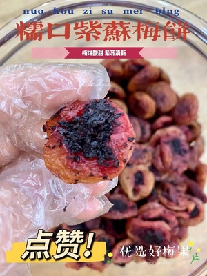 紫苏菜梅饼青梅酸甜梅干休闲零食无核果脯盐渍梅饼休闲蜜饯5斤包