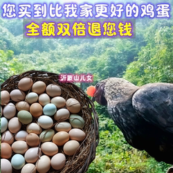 正宗散养土鸡蛋新鲜农村野外月子孕妇本绿乌柴鸡蛋虫草笨鸡蛋50枚