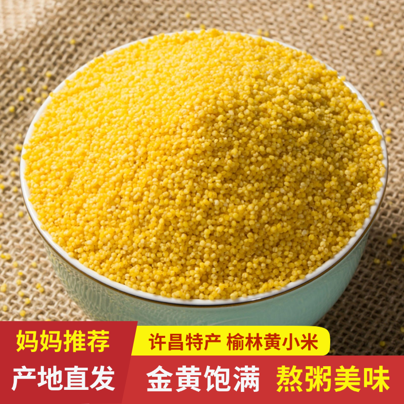 黍香世家许昌特产榆林黄小米450g农家多油杂粮粥正宗官方旗舰店,粮油调味/速食/干货/烘焙,小米,淘宝优惠券,粉丝福利购,淘宝优惠卷