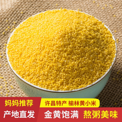 黍香世家许昌特产榆林黄小米450g
