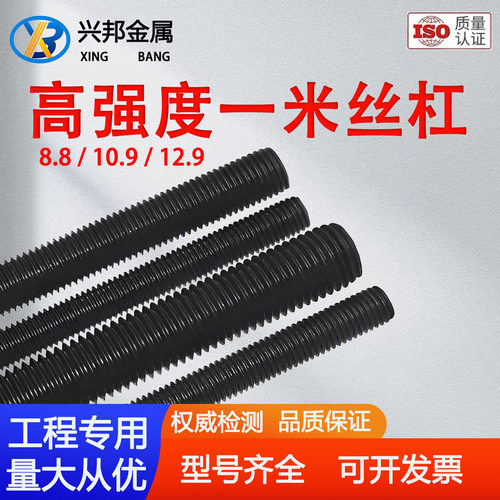 高强度1米丝杠全牙通丝10.9级