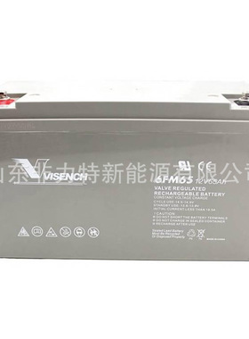 VISION蓄电池 CP12650F-X 阀控式密封12V65AH铅酸免维护电池
