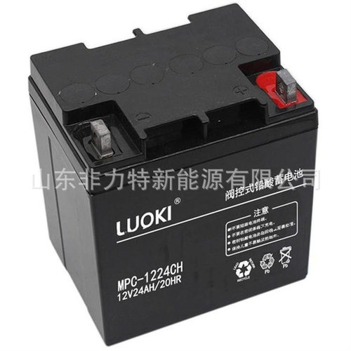 LUOKI蓄电池MPC12-24铅酸12V24AH船舶信号灯UPS应急电源