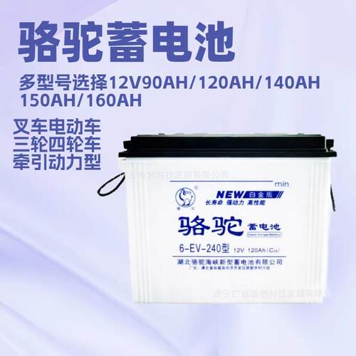 水电瓶电动三轮车12V120ah新款6-EV-285叉车推动器铅酸蓄电池