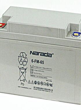 南都蓄电池12V65AH/6-FM-65铅酸UPS直流屏蓄电池 密封式电源