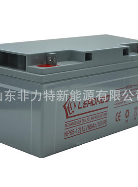LEADHOO蓄电池NP50-12G胶体12V50AH直流屏太阳能后备电瓶