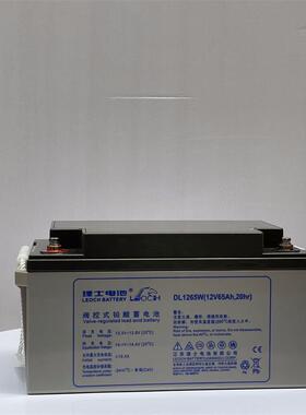 理士蓄电池DJM1265S 12V65AH消防照明 机房UPS电源配套 EPS直流屏