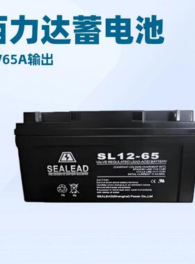 SEALEAD蓄电池SL12-100铅酸BATT系列12V100AH 638商