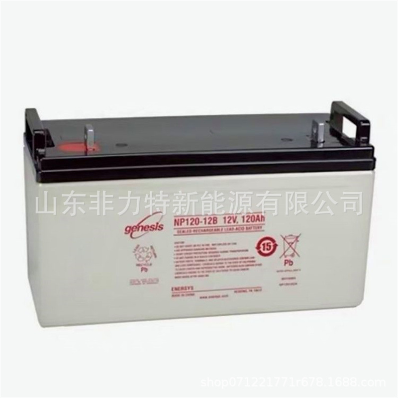 蓄电池NP120-12 免维护12V120AH通信机房基站 UPSEPS电源