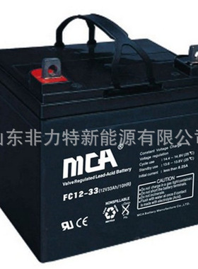 蓄电池 FC12-33 12V33AH锐牌铅酸电池 EPS UPS 直流屏电力配套