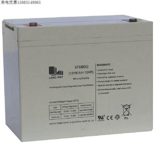 LONG WAY蓄电池6FM250G 12V250AH直流屏 太阳能 UPS 机房储能