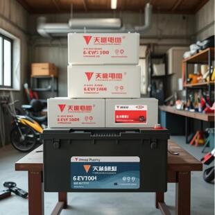 原厂电瓶60v100a4-evf-150y6v200ah新能源电动轿车四轮车