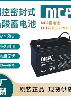FC12-100 12V100AH 储能系列 储能电池 阀控式铅酸蓄电