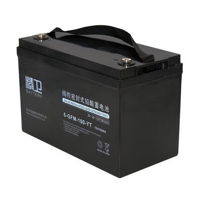 精卫蓄电池6-GFM-100-YT 12V100AH机房UPS电源配套 EPS直流屏