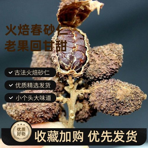 阳春特产砂仁农家火焙砂仁100克