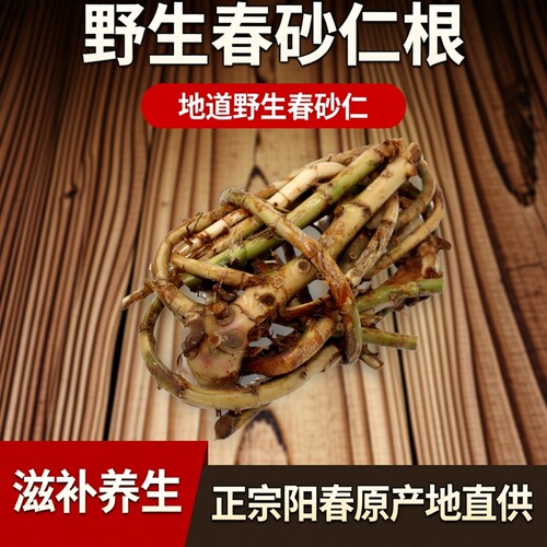 新鲜春砂仁根500g正宗阳春特产野生春砂仁条手工挖春砂仁滋补原料
