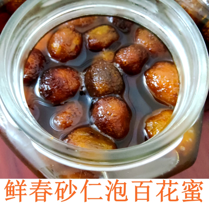 新鲜春砂仁泡蜜正宗阳春特产2025新果手工泡蜜春砂仁食疗养胃原料