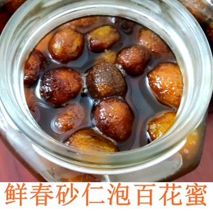 鲜春砂仁泡蜜正宗阳春特产2025新果手工泡蜜春砂仁对胀气食疗养胃