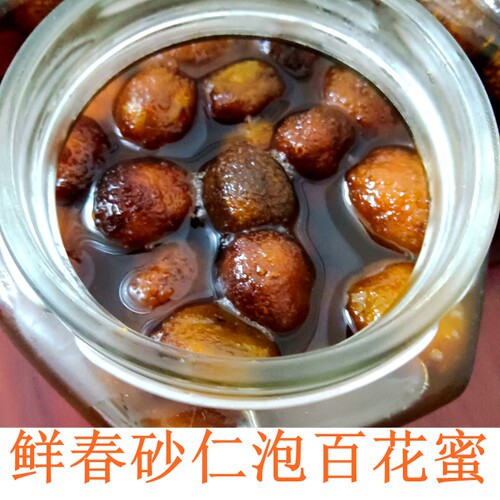 鲜干春砂仁泡蜜正宗阳春特产2026新果手工泡蜜春砂仁胀气食疗养胃