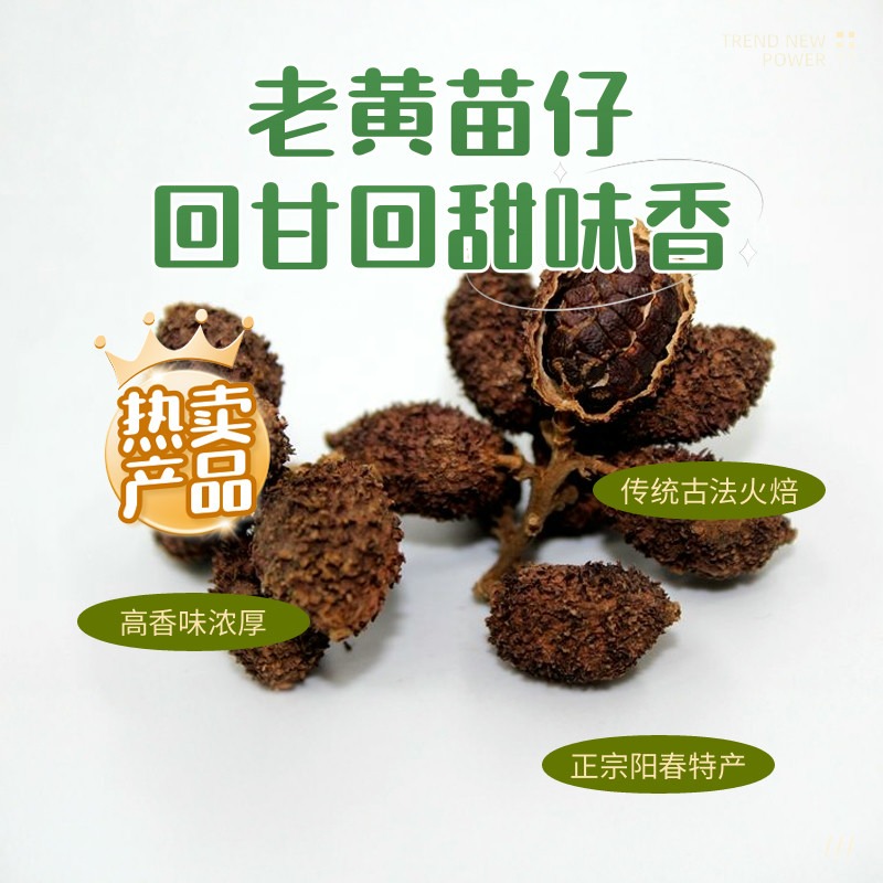 春砂仁正宗阳春特产黄苗仔火焙中药材2025春砂仁干货250g食疗煲汤