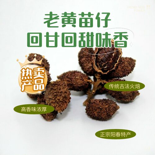 春砂仁正宗阳春特产黄苗仔火焙中药材2025春砂仁干货250g食疗煲汤