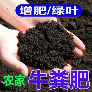 牛粪有机肥高温酵粪肥料养花通用型植物肥料种菜专用肥牛粪营养土